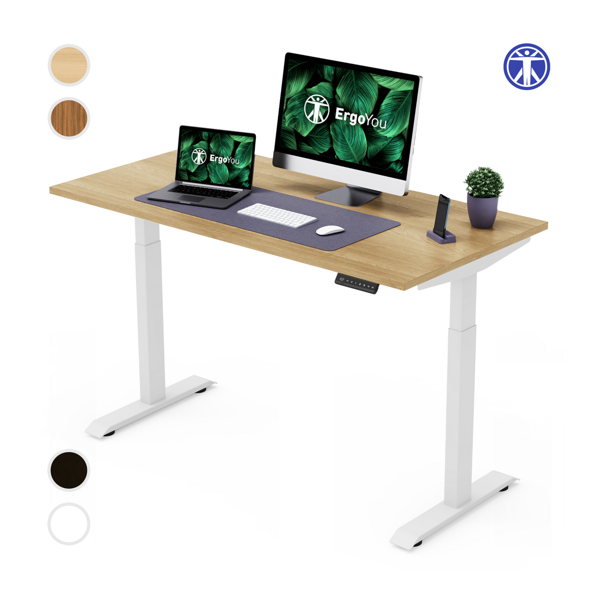 Dual Motor  Premium Height-Adjustable Standing Desk (2 Stage