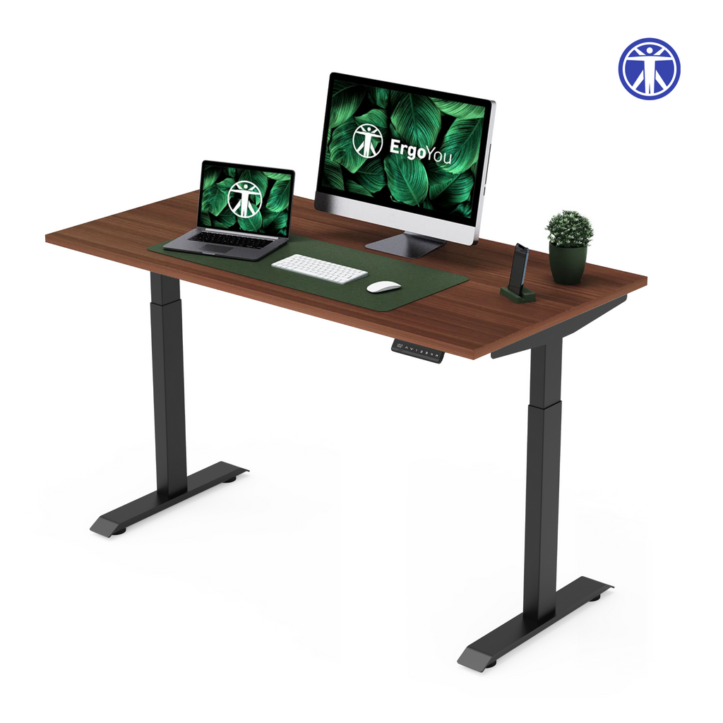 Dual Motor Premium Height Adjustable Standing Desk 2 Stage