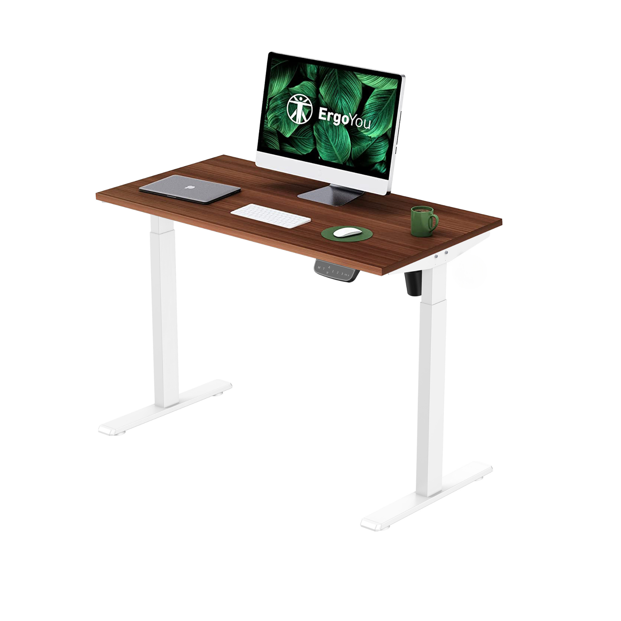 Single Motor Height Adjustable Standing Desk 2 Stage with Table Top SM3 Series