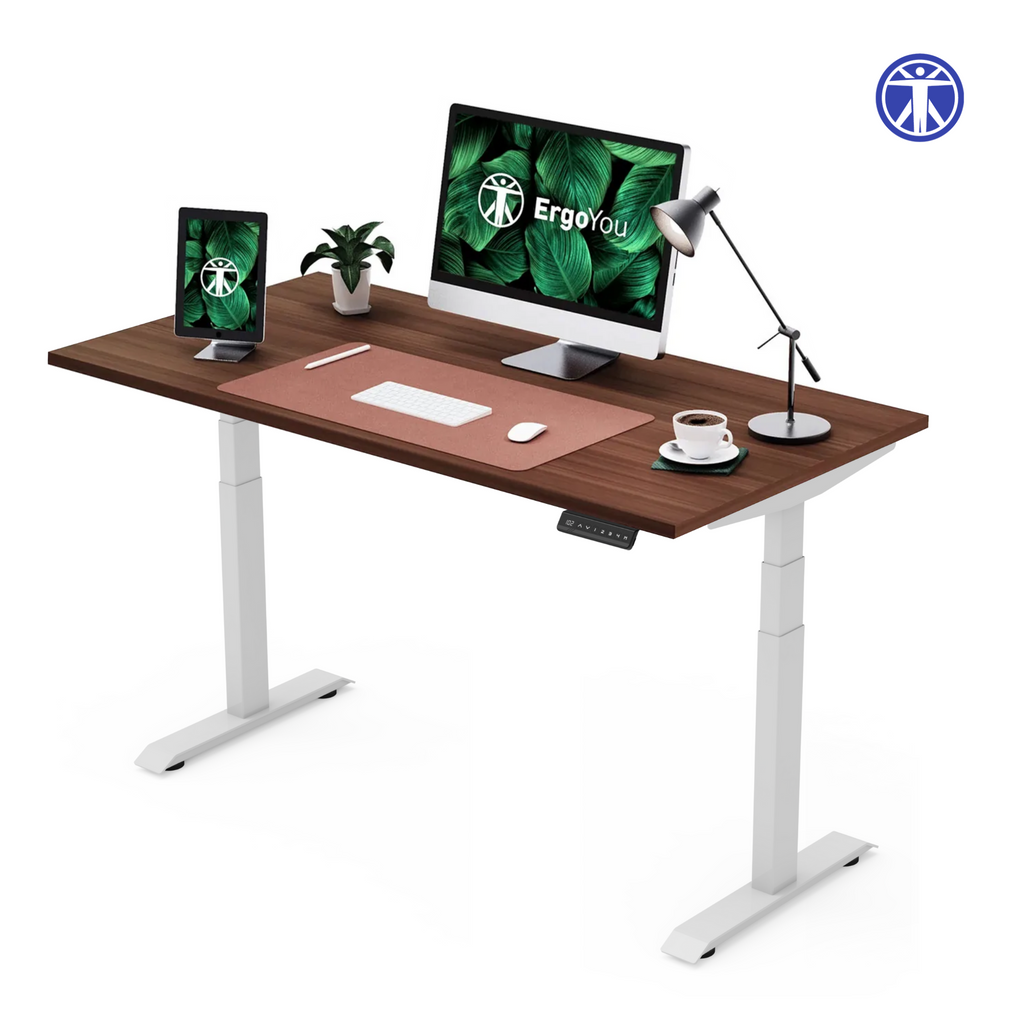 Dual Motor Premium Height-Adjustable Standing Desk (3 Stage