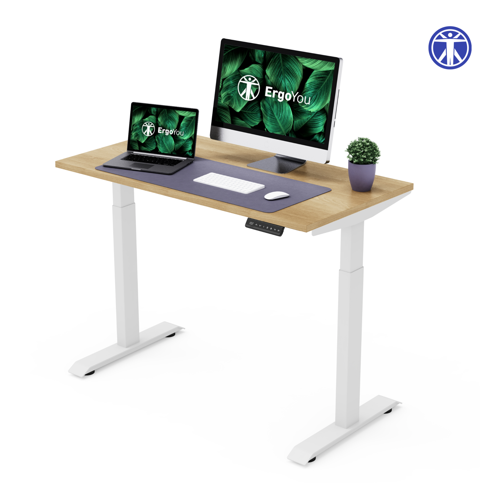 Dual Motor Premium Height Adjustable Standing Desk 2 Stage