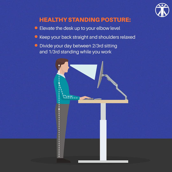 Single Motor | Height-Adjustable Standing Desk Frame (2 Stage) | SM4 Series