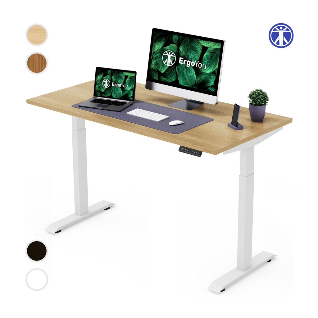Dual Motor Premium Height Adjustable Standing Desk 2 Stage
