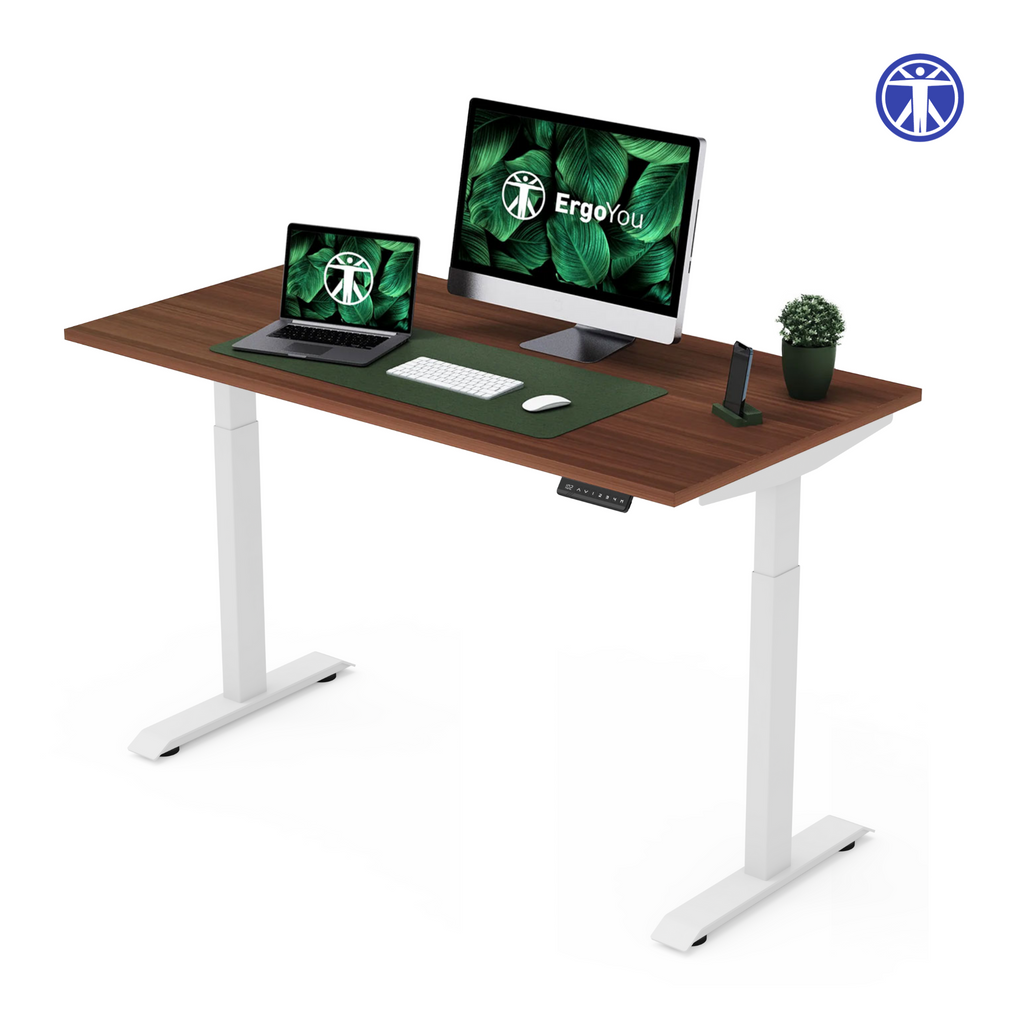 Dual Motor Premium Height Adjustable Standing Desk 2 Stage