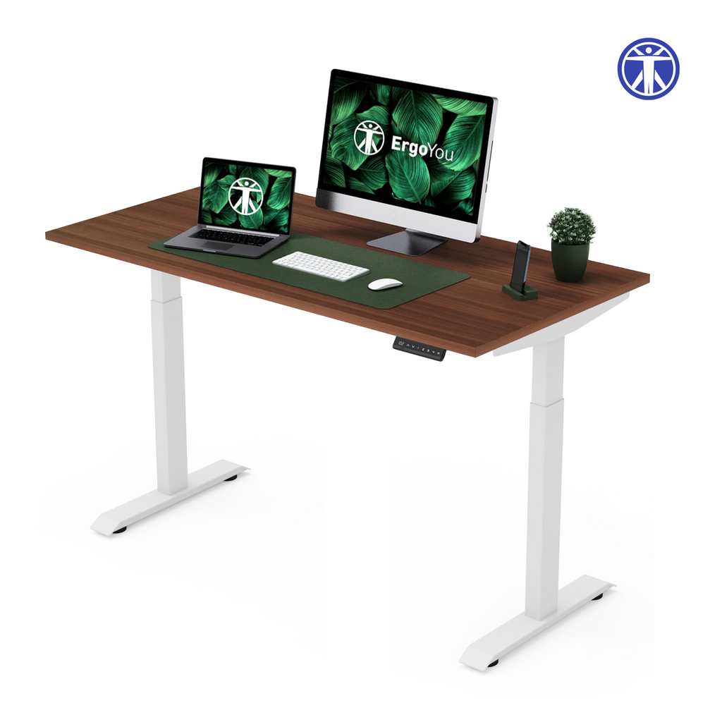 Dual Motor  Premium Height-Adjustable Standing Desk (2 Stage