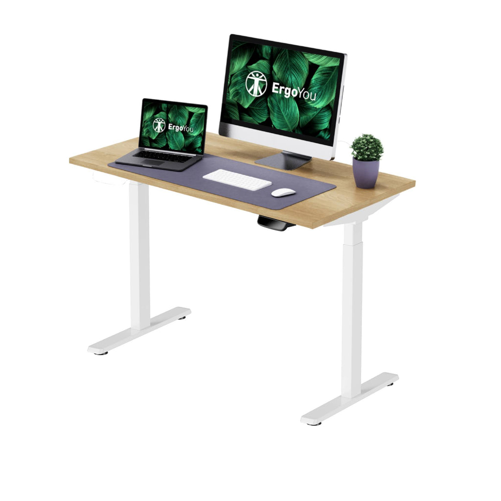 Dual Motor Height Adjustable Standing Desk 2 Stage with Table Top ErgoYou